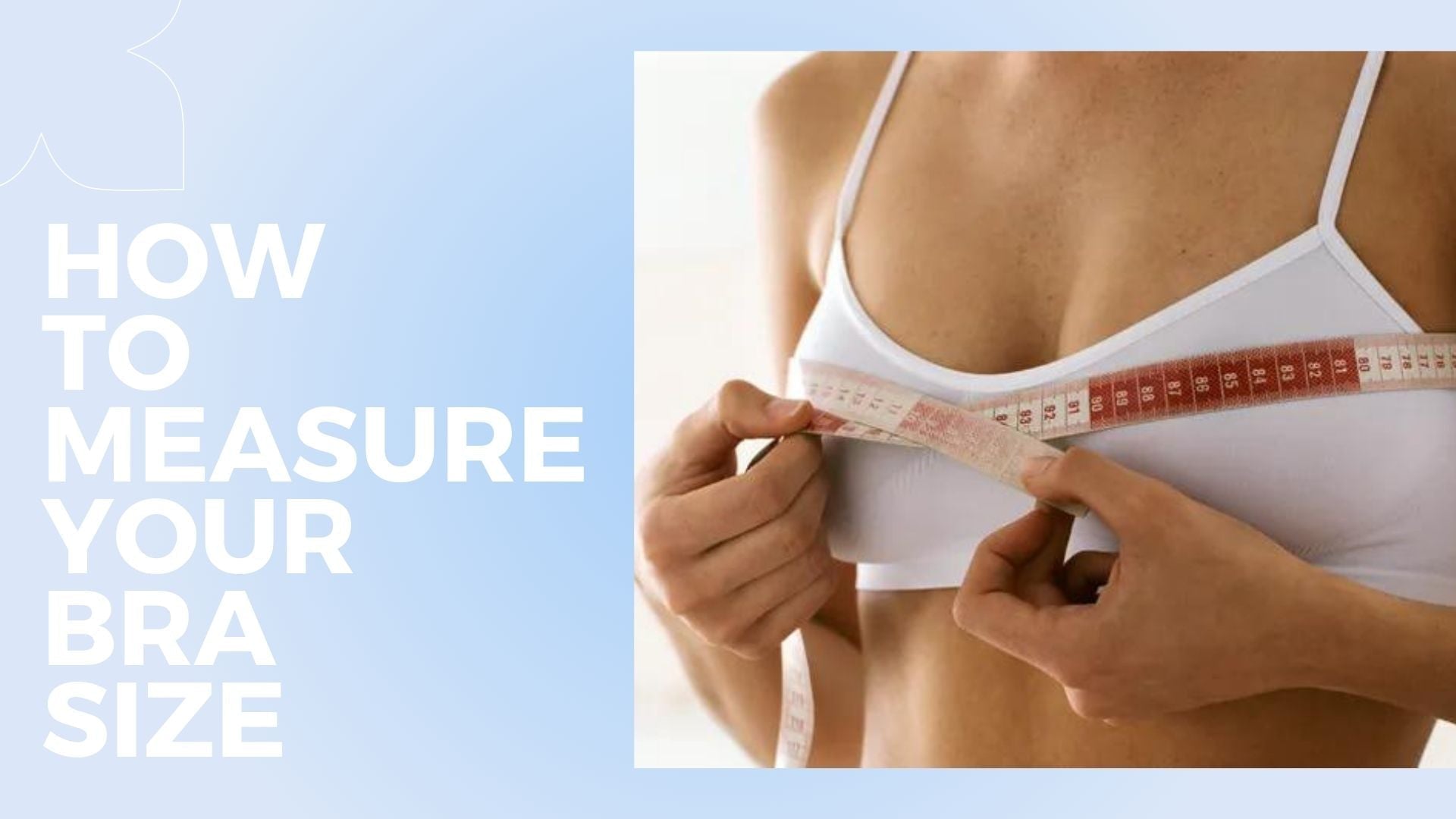 How to Measure Your Bra Size