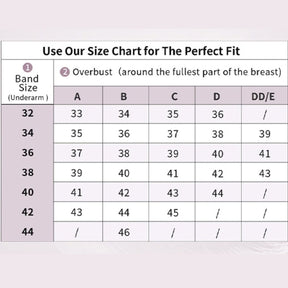 Push Up Padded Everyday Bra with Underwire Plunge Add Cup